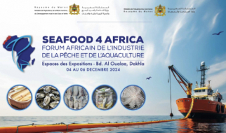 الجامعة الوطنية لصناعات تحويل وتثمين السمك تنظم منتدى "2024 Seafood 4 Africa" من 4 إلى 6 دجنبر بالداخلة