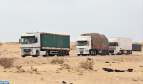 جيبوتي تعبر عن تأييدها التام للإجراءات التي اتخذها المغرب لضمان انسياب حركة السلع والبضائع والأفراد عبر منطقة الكركرات