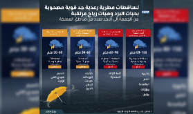 تساقطات مطرية رعدية جد قوية مصحوبة بحبات البرَد وهبات رياح مرتقبة من الجمعة إلى الأحد بعدد من مناطق المملكة (نشرة إنذارية)