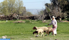 السياحة الفلاحية بالمغرب متنفس يستحق المزيد من الاهتمام