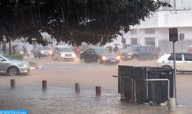 زخات مطرية رعدية قوية يومي الجمعة والسبت بعدد من مناطق المملكة