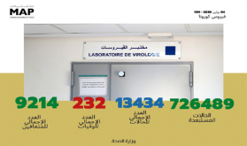 فيروس كورونا .. تسجيل 146 حالة مؤكدة جديدة بالمغرب ترفع العدد الإجمالي إلى 13 ألفا و434 حالة