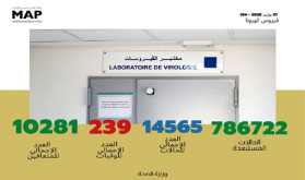 فيروس كورونا .. تسجيل 186 حالة مؤكدة جديدة بالمغرب ترفع العدد الإجمالي إلى 14 ألفا و 565 حالة