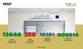 فيروس كورونا.. 84 إصابة جديدة بالمغرب ترفع العدد الإجمالي إلى 16 ألفا و 181 حالة