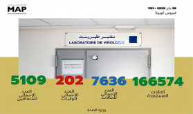 فيروس كورونا: تسجيل 35 حالة مؤكدة جديدة بالمغرب ترفع العدد الإجمالي إلى 7636 حالة 