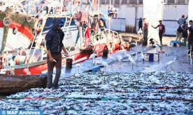 ميناء المهدية: انخفاض الكميات المفرغة من منتجات الصيد الساحلي والتقليدي بـ 4 في المائة في متم يوليوز 2024 (مكتب)