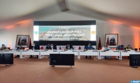 El Guerguarat: Dakhla-Oued Eddahab Regional Council Approves 14 Projects Totaling MAD 574 Mln