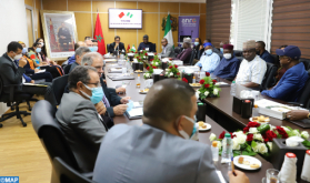 Morocco, Nigeria Lay Groundwork for Cooperation in Electricity Regulation