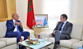 Higher Education Minister, IAEA Director General Discuss Cooperation in Training, University Research