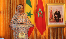 Great Green Wall, Senegalese Minister Hails Moroccan Experience