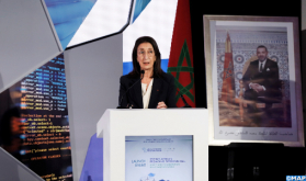 SWFs Allow Financing of Profitable Mega-Projects on Long Term - Moroccan Official