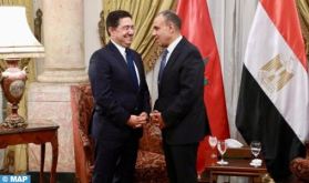 FM Holds Talks with Egyptian Counterpart in Cairo