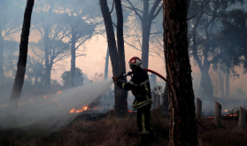 Tetouan: Intense Efforts Underway to Control Wildfire - Local Authorities