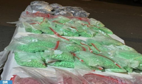 Tangier-Med Port: Attempted Smuggling of over 173k Psychotropic Tablets Foiled (Statement)