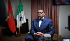 OCP's Green Investment Program Will Help Reduce Greenhouse Gas Emissions (AfDB President)