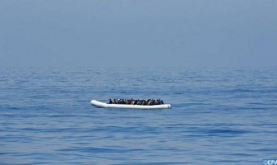 Illegal Migration: Major Threat to Regional, International Cooperation - Expert