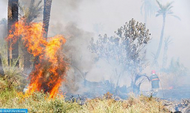 Wildfires in Ouezzane: Efforts Underway to Spare Homes - Local Sources