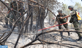 Larache Province: Fire in 'Beni Ysef Al-Srif' Forest 50 Percent Contained