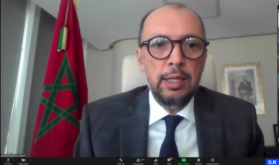 Morocco's Covid-19 Plan Presented before OECD Development Centre's Governing Board