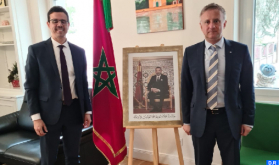 Morocco's African, Arab Leadership Established Thanks to HM the King's Wisdom, French Deputy