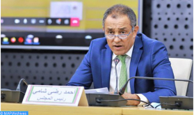 Integrated Strategy is Needed to Take Morocco's Regional integration in Africa to a New Level - Official