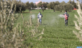 Agriculture: 4.1 Mln Ha Planted in Fall Cereals to Jan.8