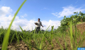 OCP, Hubei Forbon Technology Keen To Develop New Generations of Fertilizer