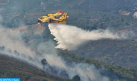 Chefchaouen: Forest Fire 'Almost Under Control', About 1,100 ha Ravaged  