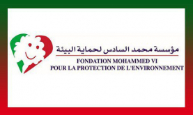 Mohammed VI Foundation for Environmental Protection Takes Action Against Marine Pollution