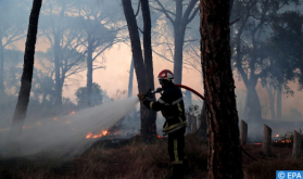 Wildfire in Taza: 400 Hectares of Land Ravaged, No Human Loss Reported - Local Sources