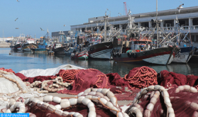 Production of Morocco's Coastal Fisheries Down 7% in 2020