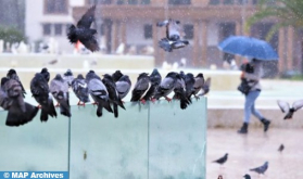 Heavy Rains Expected Saturday, Sunday in Several Moroccan Provinces