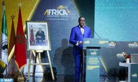 AfDB President Hails HM the King's Leadership in Promoting Private Investment in Africa