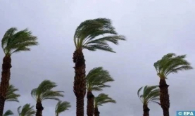 Strong Wind Gusts and Dust Storms Expected in Several Moroccan Provinces