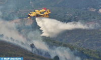 Massive Wildfire in Morocco's Taza Destroys 30 Hectares