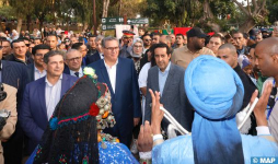 El Gobierno comprometido con el fortalecimiento de la implementación del carácter oficial de la lengua amazigh (Akhannouch)