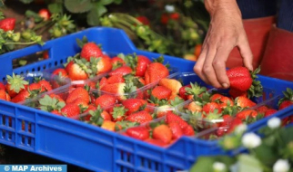 Aumentan un 80% las importaciones españolas de fruta procedente de Marruecos (Ministerio)