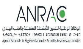 Uso lícito del cannabis: más de 3.000 autorizaciones concedidas desde principios de 2024 (ANRAC)