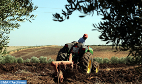 El CAM y la AFD unen sus esfuerzos para acelerar el desarrollo de una agricultura sostenible