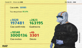 Coronavirus: 3.020 nuevos casos confirmados y 2.823 recuperaciones en 24h (Sanidad)