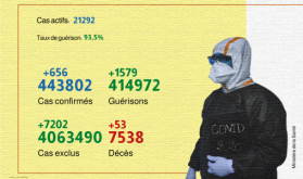 Covid-19: 656 nuevos casos confirmados y 1.579 recuperaciones en 24h (Sanidad)