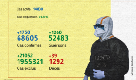 Covid-19: 1.750 nuevos casos confirmados y 1.260 recuperaciones en 24h (Sanidad)