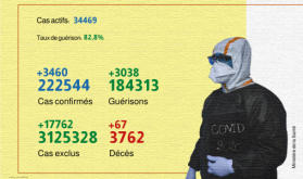 Coronavirus: 3.460 nuevos casos confirmados y 3.038 recuperaciones en 24h (Sanidad)