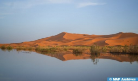 CNEWS se maravilla ante las “increíbles imágenes de las dunas del Sáhara marroquí” salpicadas de árboles y lagos tras las fuertes lluvias de septiembre