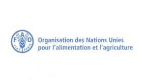 Gran Premio Mundial Hassan II del Agua: la FAO expresa su agradecimiento a SM el Rey y a Marruecos