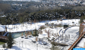 Nevadas, frío y fuertes vientos de miércoles a sábado en varias provincias (Boletín Especial)