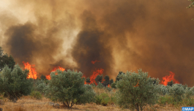 Región Norte: Creación de células de seguimiento y evaluación del impacto de los incendios forestales (Ministerio)