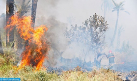 Taza: 30 hectáreas de bosque arrasadas por un incendio