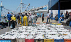 Puerto de Tan-Tan: Récord de desembarcos de pescado de casi 719 MDH en 2021