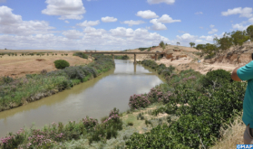 Campaña agrícola 2022-2023: las precipitaciones acumuladas disminuyen un 32% (ministerio)